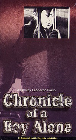 Crónica de un niño solo
