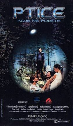 Ptice koje ne polete