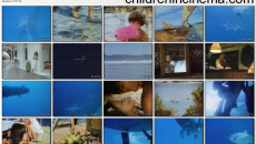 Beyond the Reef: movie stills