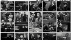 Chiens perdus sans collier: movie stills