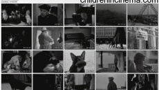 Day lapu, drug!: movie stills