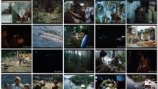 Jako zajíci: movie stills