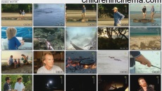 Kennzeichen: Killer: movie stills