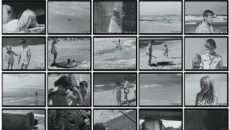 Mirtis ir vysnios medis: movie stills