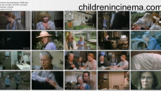 Novemberkatzen: movie stills