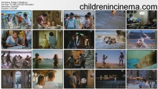 Poletje v skoljki: movie stills