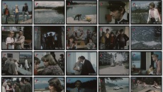 Pomsta mrtvych rýb: movie stills