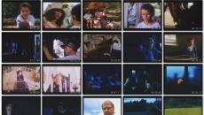 Svampe: movie stills