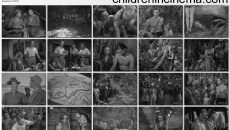 Tarzan's Savage Fury: movie stills